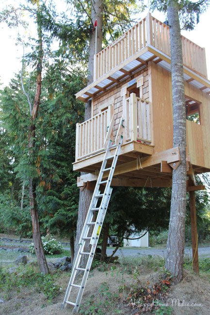 A Treehouse You Could Live In